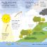 My Very Important Earth Encyclopedia - thumbnail of spread image 1 Thumbnail image of My Very Important Earth Encyclopedia - 1