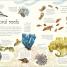 Thumbnail image of An Anthology of Aquatic Life - 1