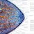 Vida microscópica (Micro Life) - thumbnail of spread image 1 Thumbnail image of Vida microscópica (Micro Life) - 1