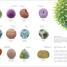 Vida microscópica (Micro Life) - thumbnail of spread image 5 Thumbnail image of Vida microscópica (Micro Life) - 5