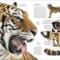 El libro de la naturaleza (Natural History) - thumbnail of spread image 5 Thumbnail image of El libro de la naturaleza (Natural History) - 5