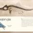Antología de dinosaurios y vida prehistórica (Dinosaurs and Other Prehistoric Life) - thumbnail of spread image 4 Thumbnail image of Antología de dinosaurios y vida prehistórica (Dinosaurs and Other Prehistoric Life) - 4