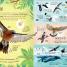La vida secreta de las aves (The Extraordinary World of Birds) - thumbnail of spread image 1 Thumbnail image of La vida secreta de las aves (The Extraordinary World of Birds) - 1
