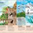 La vida secreta de las aves (The Extraordinary World of Birds) - thumbnail of spread image 2 Thumbnail image of La vida secreta de las aves (The Extraordinary World of Birds) - 2