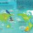 La vida secreta de las aves (The Extraordinary World of Birds) - thumbnail of spread image 5 Thumbnail image of La vida secreta de las aves (The Extraordinary World of Birds) - 5