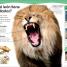 ¿Sabías qué? Animales (Did You Know? Animals) - thumbnail of spread image 1 Thumbnail image of ¿Sabías qué? Animales (Did You Know? Animals) - 1
