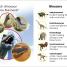 DK Super Readers Pre-Level Meet the Dinosaurs - thumbnail of spread image 3 Thumbnail image of DK Super Readers Pre-Level Meet the Dinosaurs - 3