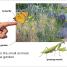 DK Super Readers Pre-Level: Garden Friends - thumbnail of spread image 1 Thumbnail image of DK Super Readers Pre-Level: Garden Friends - 1