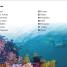 DK Super Readers Level 1 Explore the Coral Reef - thumbnail of spread image 1 Thumbnail image of DK Super Readers Level 1 Explore the Coral Reef - 1