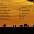 DK Super Readers Level 4 Hope for the Elephants - thumbnail of spread image 1 Thumbnail image of DK Super Readers Level 4 Hope for the Elephants - 1