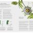 Thumbnail image of The Science of Gardening - 3