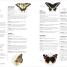 How to Attract Wildlife to Your Garden - thumbnail of spread image 4 Thumbnail image of How to Attract Wildlife to Your Garden - 4