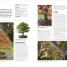 Grow Bonsai - thumbnail of spread image 3 Thumbnail image of Grow Bonsai - 3