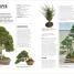 Grow Bonsai - thumbnail of spread image 4 Thumbnail image of Grow Bonsai - 4