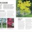 Grow Trees - thumbnail of spread image 2 Thumbnail image of Grow Trees - 2