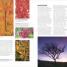 Grow Trees - thumbnail of spread image 3 Thumbnail image of Grow Trees - 3