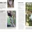 Grow Trees - thumbnail of spread image 6 Thumbnail image of Grow Trees - 6