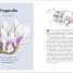 The Secret Language of Flowers - thumbnail of spread image 3 Thumbnail image of The Secret Language of Flowers - 3