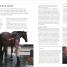 Thumbnail image of Complete Horse Riding Manual - 6