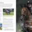 Thumbnail image of Complete Horse Riding Manual - 8