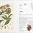 Thumbnail image of The Herb Book - 2