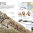 Back to Life Wonders of the World - thumbnail of spread image 3 Thumbnail image of Back to Life Wonders of the World - 3