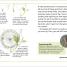 DK Super Readers Level 3 Spiders' Secrets - thumbnail of spread image 2 Thumbnail image of DK Super Readers Level 3 Spiders' Secrets - 2