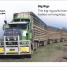 DK Super Readers Level 1 Big Trucks - thumbnail of spread image 2 Thumbnail image of DK Super Readers Level 1 Big Trucks - 2