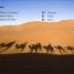 DK Super Readers Level 1 Desert Plants and Animals - thumbnail of spread image 1 Thumbnail image of DK Super Readers Level 1 Desert Plants and Animals - 1