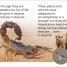 DK Super Readers Level 1 Desert Plants and Animals - thumbnail of spread image 2 Thumbnail image of DK Super Readers Level 1 Desert Plants and Animals - 2