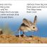 DK Super Readers Level 1 Desert Plants and Animals - thumbnail of spread image 3 Thumbnail image of DK Super Readers Level 1 Desert Plants and Animals - 3