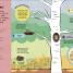 The Children's Book of Birdwatching - thumbnail of spread image 2 Thumbnail image of The Children's Book of Birdwatching - 2