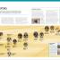 The Complete Human Body - thumbnail of spread image 1 Thumbnail image of The Complete Human Body - 1