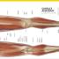 The Complete Human Body - thumbnail of spread image 4 Thumbnail image of The Complete Human Body - 4