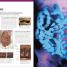 The Complete Human Body - thumbnail of spread image 7 Thumbnail image of The Complete Human Body - 7