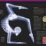 The Complete Human Body - thumbnail of spread image 9 Thumbnail image of The Complete Human Body - 9