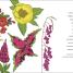 Your Gardening Year - thumbnail of spread image 1 Thumbnail image of Your Gardening Year - 1