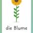 German for Everyone Junior First Words Flash Cards - thumbnail of spread image 3 Thumbnail image of German for Everyone Junior First Words Flash Cards - 3