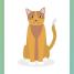 Spanish for Everyone Junior First Words Flash Cards - thumbnail of spread image 2 Thumbnail image of Spanish for Everyone Junior First Words Flash Cards - 2