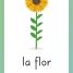 Spanish for Everyone Junior First Words Flash Cards - thumbnail of spread image 3 Thumbnail image of Spanish for Everyone Junior First Words Flash Cards - 3