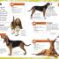 My Book of Dogs and Puppies - thumbnail of spread image 2 Thumbnail image of My Book of Dogs and Puppies - 2