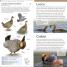 Thumbnail image of AMNH Pocket Birds of North America Western Region - 1