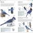 Thumbnail image of AMNH Pocket Birds of North America Western Region - 5