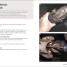 Auto Repair & Maintenance for Beginners - thumbnail of spread image 4 Thumbnail image of Auto Repair & Maintenance for Beginners - 4