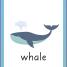 Thumbnail image of English for Everyone Junior First Words Animals Flash Cards - 1