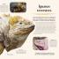 Galapagos - thumbnail of spread image 2 Thumbnail image of Galapagos - 2