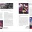 Marvel: Mundos y escenarios (Marvel Universe Map By Map) - thumbnail of spread image 5 Thumbnail image of Marvel: Mundos y escenarios (Marvel Universe Map By Map) - 5
