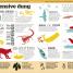 1,000 Amazing Gross Facts - thumbnail of spread image 5 Thumbnail image of 1,000 Amazing Gross Facts - 5