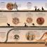 Timelines of Nature - thumbnail of spread image 3 Thumbnail image of Timelines of Nature - 3