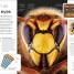 Insect - thumbnail of spread image 1 Thumbnail image of Insect - 1